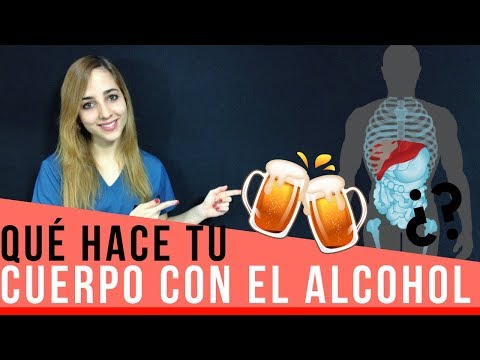 ¿QUÉ HACE TU CUERPO CON EL ALCOHOL?  | Mentes Médicas