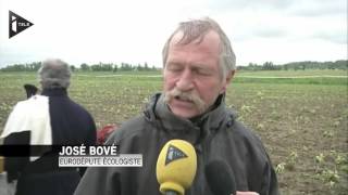 VIDEO 2 Des faucheurs attaquent à un champ de maïs OGM
