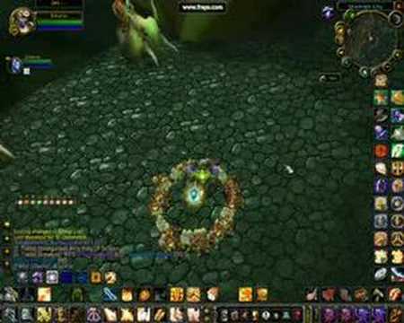 World of Warcraft Multiple critter pets!!! Awsome Exploit!