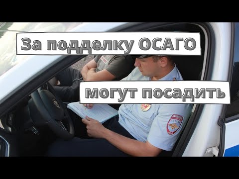 За подделку ОСАГО могут посадить