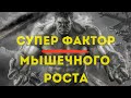 СУПЕР фактор мышечного роста!