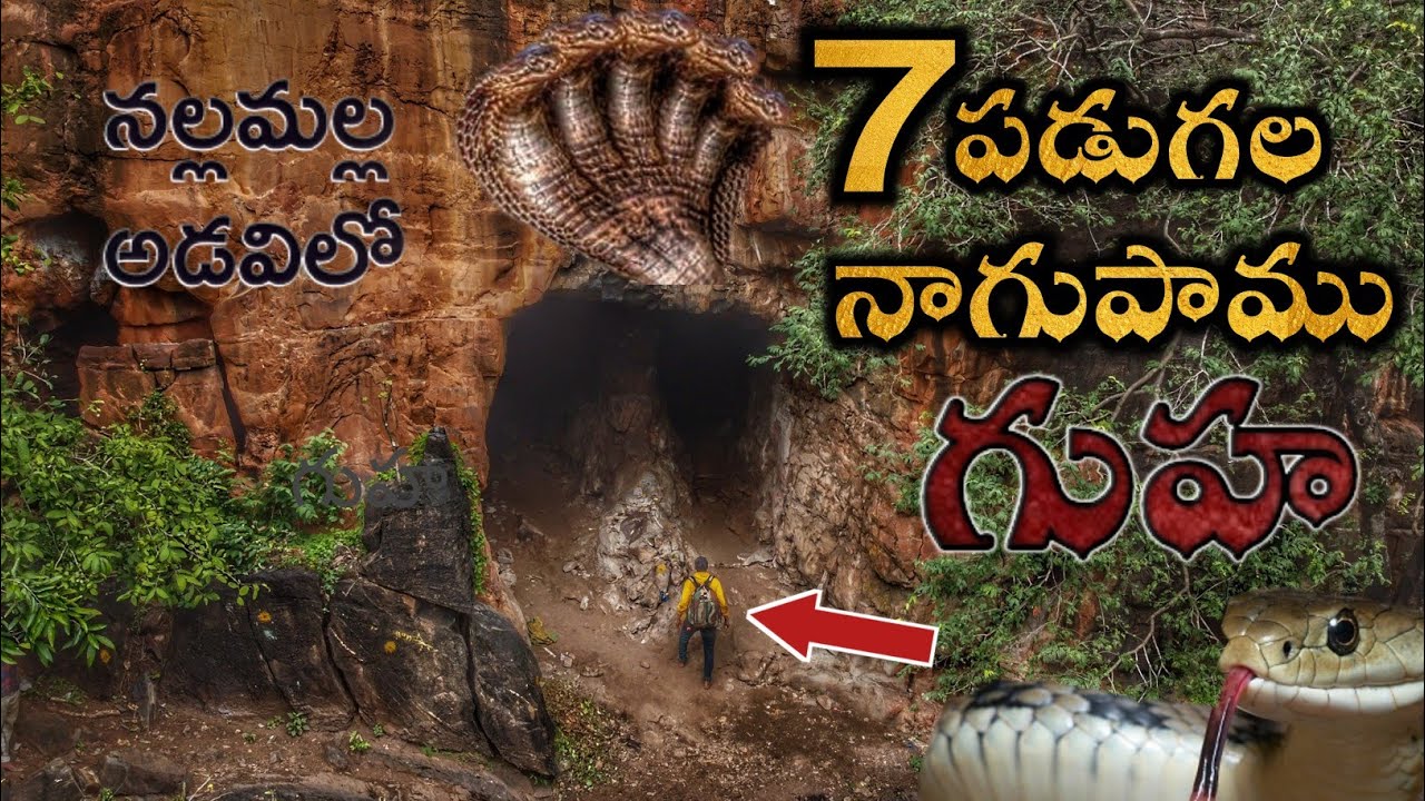 నల్లమల అడవిలో 7 పడగల నాగుపాము గుహా చూడండి Ulleda Malleshwara Swamy Cave Ahobilam Nallamalla Forest