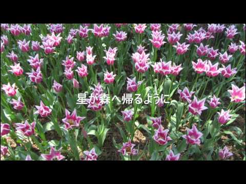 M / Princess Princess / MIDI with lyrics