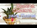 Receta casera para que tus Anturios florescan!🌿🌄 #jardindeanturios