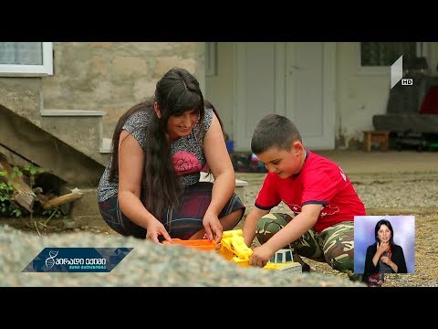 მშობლის დღიური - ალექსანდრეს ისტორია