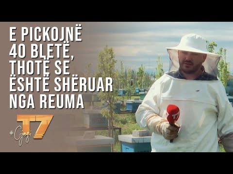 Video: KB E Alarmuar Nga Rënia E Madhe Në Numrat E Bletëve