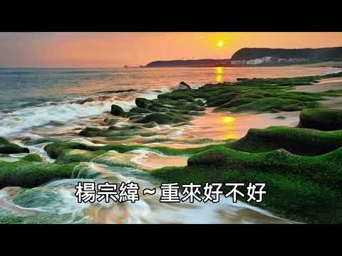 楊宗緯 ~ 重來好不好