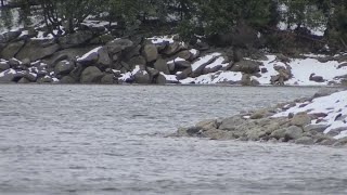 North Fork Residents on High Alert