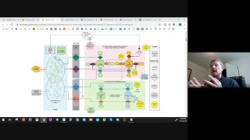cadCAD Model Walk-through: Red Cross Community Inclusion Currencies