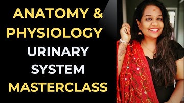 Urinary System Anatomy & Physiology | Medical Coding Interview Prep | CPC Exam 2025
