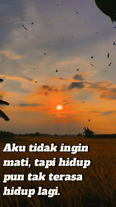 Aku tidak ingin mati, tapi hidup pun tak terasa hidup lagi. #quotes #galau #menyerah