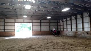 Zorro cantering