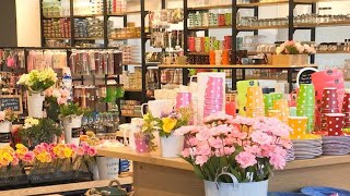 Toppu Dorru In Richmond Hill Is A Japanese Variety Store That Has Everything