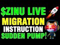 Zombie inu migration instruction zinu migration to v2 and sudden pump