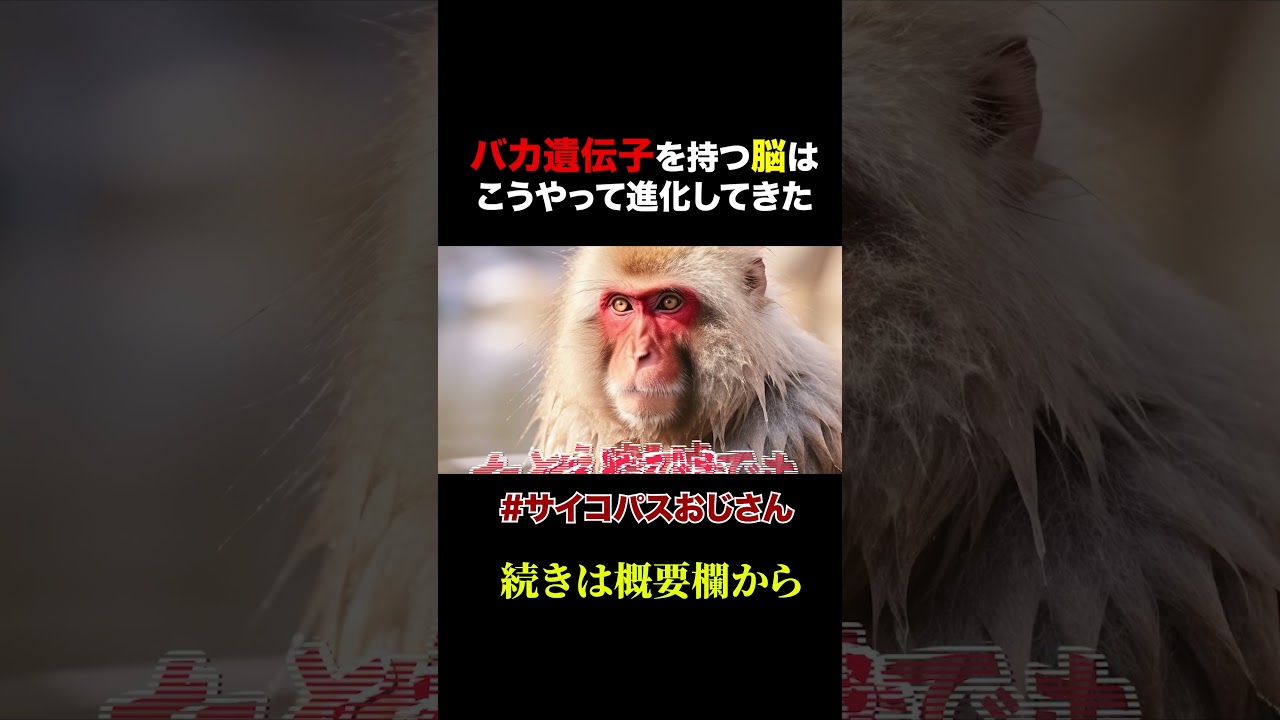 バカと賢い人の脳はココが決定的に違っている【岡田斗司夫 / 切り抜き / サイコパスおじさん】