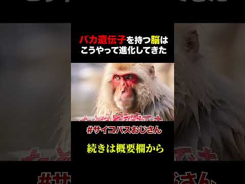 バカと賢い人の脳はココが決定的に違っている【岡田斗司夫 / 切り抜き / サイコパスおじさん】