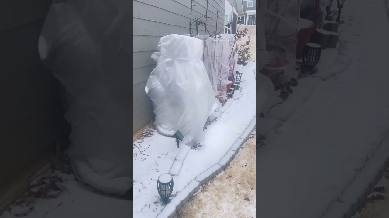 Snow covered Garden walk after last night&rsquo;s snow storm | Winter in North Carolina