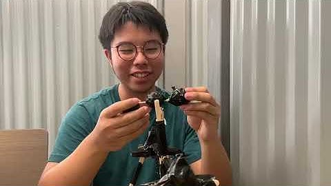 SP CDIO CATAPULT DARE/1B/02