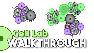 Cell Lab - How to make a Speedboost Predator [Neurocyte method walkthrough]