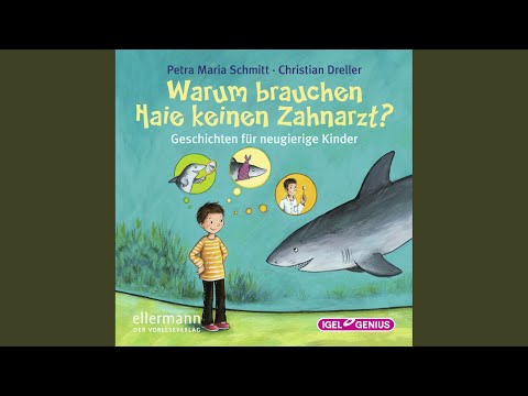 Kapitel 1 - Warum brauchen Haie keinen Zahnarzt?