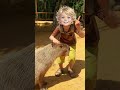 My 5-Year-Old is Obsessed with Capybaras 🥹❤️ #capybara #capybaras #capybaralover #cuteanimals