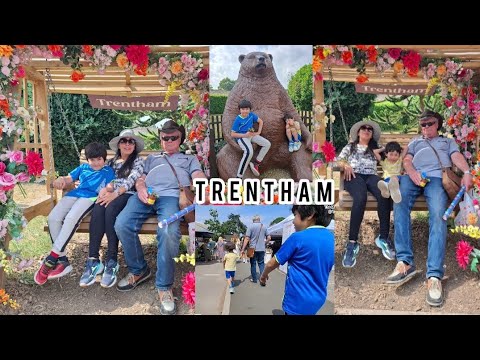 TRENTHAM || THE MAKERS MARKET
