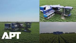 Meet China's 108-Arm Robot Changing Cotton Farming Forever In Xinjiang, Cutting 50% Labor Costs| APT