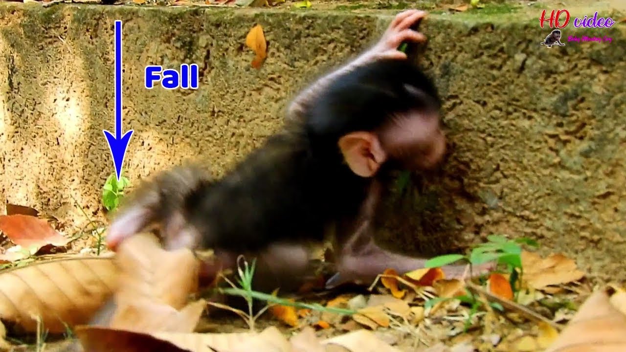 So pity baby Sami fall down cuz mom less attention | Pity Sami cries call mom help