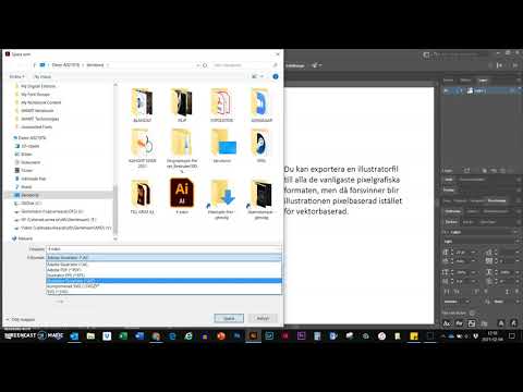 Video: Hur Man Bestämmer Filformatet