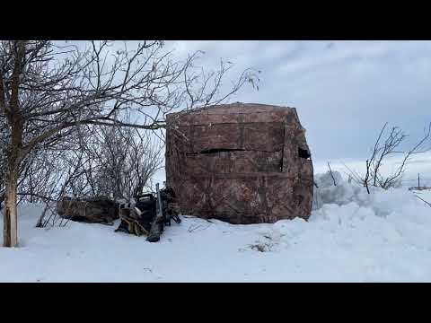Setting Up for a Cold-Weather Hunt