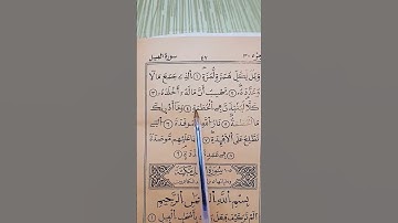 وَيْلٌ لِكُلِّ هُمَزَةٍ لُمَزَةٍ | تلاوة تهز القلوب #القرآن #سورة_الهمزة #قرآن_كريم #تلاوة