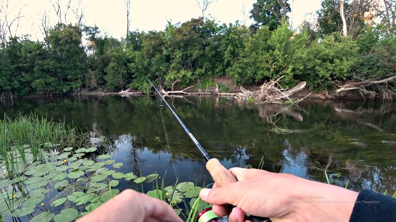 Удачная Рыбалка на Живописной Речке на Спиннинг. Атаки рыбы на поверхности воды.