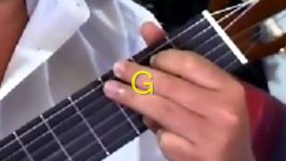 How to play "Always On My Mind" by Elvis Presley on Guitar chords