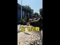 The dragon and phoenix tea table is really beautiful. Root carving tea table. Tea table