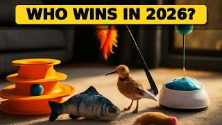 Top 5 Best Interactive Cat Toys 2026 - Keep Your Feline Entertained for Hours