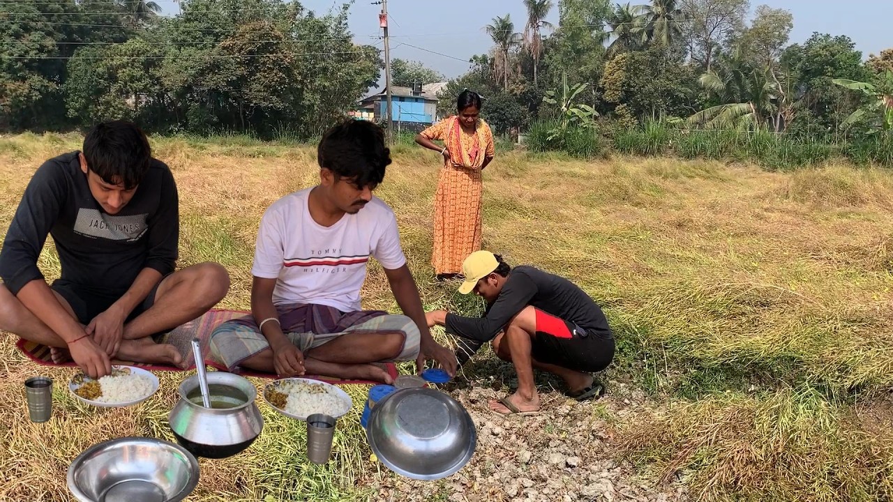 আজ দুই ভাই মিলে সরিষা উঠানো কাজ শুরু করলাম