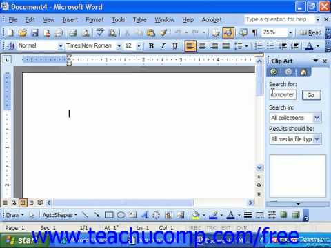 Microsoft Office Word 2003      -  11