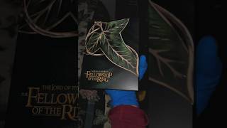 The Lord Of The Rings Fellowship Of The Ring Hdzeta Fullslip Steelbook