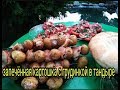 Готовим в тандыре! Быстро и вкусно!