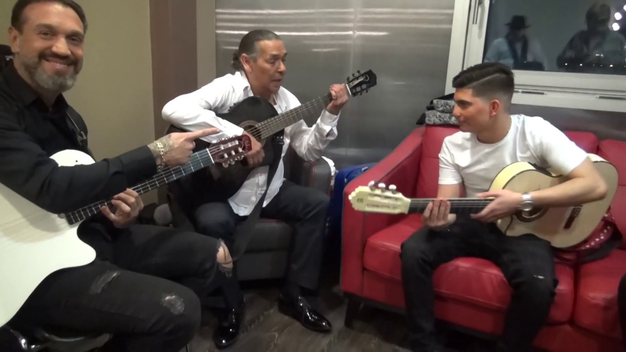 guitariste/ chanteur