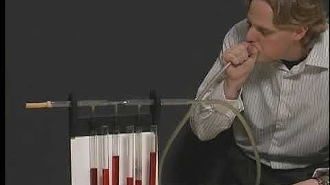 Pressure along a Venturi Tube