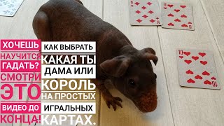 ГАДАНИЕ НА ИГРАЛЬНЫХ КАРТАХ ПРИДВОРНЫЙ ДВОР САМОЕ ИСКРЕННЕЕ Урок#1♣️♠️♥️♦️ ГАДАНИЕ НА ИГРАЛЬНЫХ КАРТАХ ПРИДВОРНЫЙ ДВОР САМОЕ ИСКРЕННЕЕ Урок#1♣️♠️♥️♦️