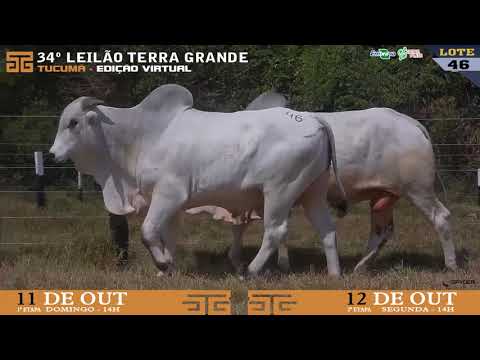 LOTE 046