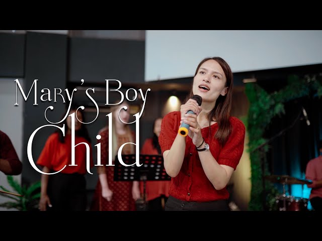 All Artis - Mary's Boy Child