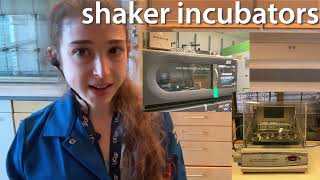 Lab equipment for heating, cooling, and incubating - what's what and which to use when