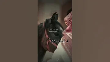 لا تنسى عهدا بيننا عهدا وثيقا عمر القحطاني حصريا 2022 