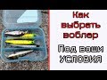 Как выбрать воблер и как его провести.