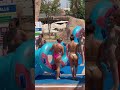 ☀️The Wonder Of Aqua Park Fun Water Slide -Summer Holiday 💦17 #aquapark #waterworld