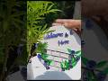diy easy wall hanging from paper and cardboard.💙💚 room decor craft #homemadedecor . #utubeshorts