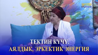 видео: ТЕКТИН КҮЧҮ. АЯЛДЫК, ЭРКЕКТИК ЭНЕРГИЯ картинка: ТЕКТИН КҮЧҮ. АЯЛДЫК, ЭРКЕКТИК ЭНЕРГИЯ